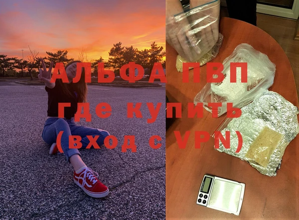 сатива Нефтегорск